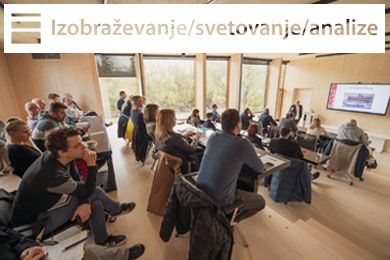 Izobraževanje, svetovanje, analize